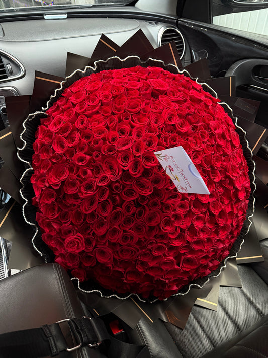 ROSSO N500 ULTÍMATE EDITION