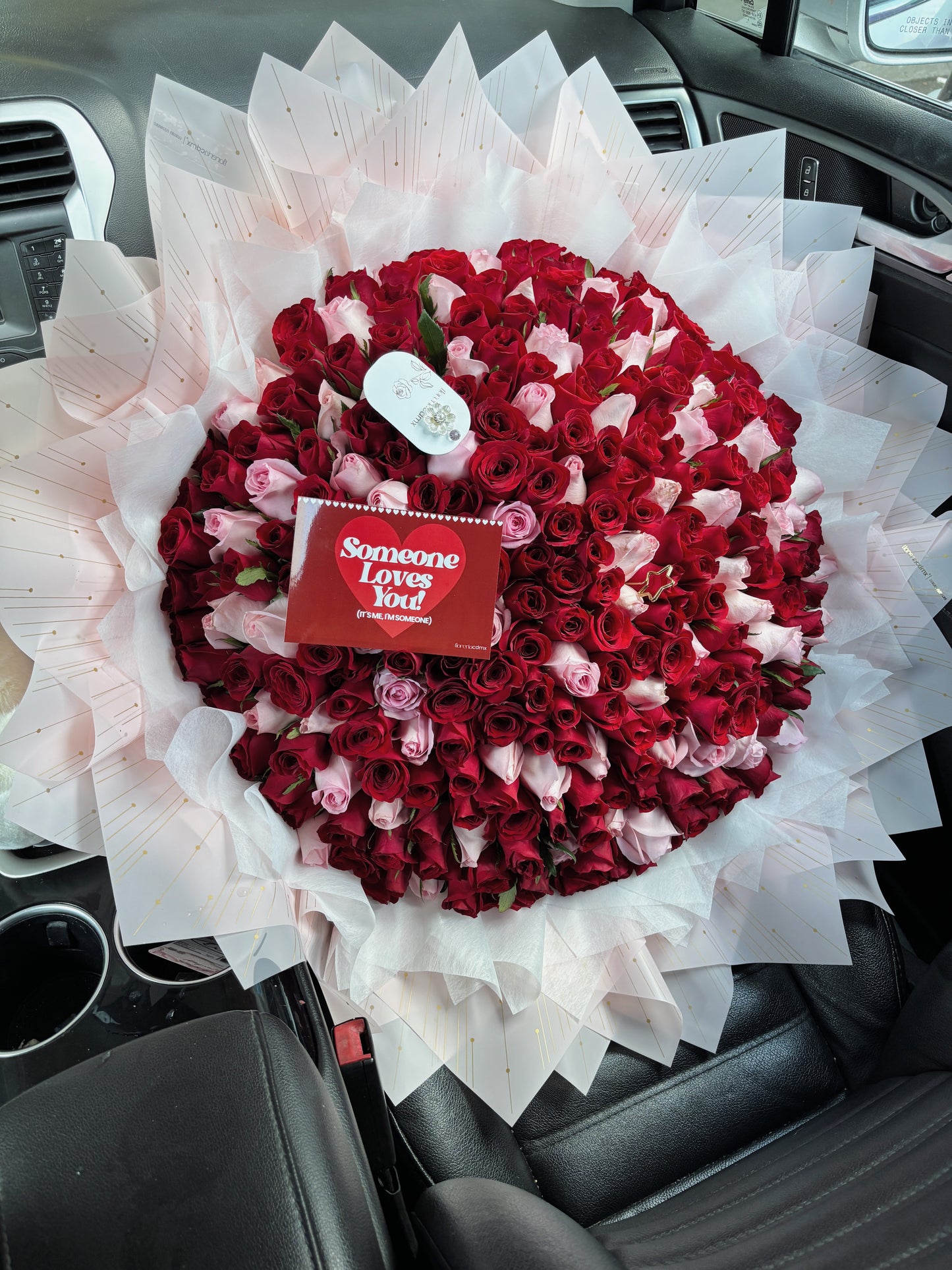 250 RAZONES PARA AMARTE