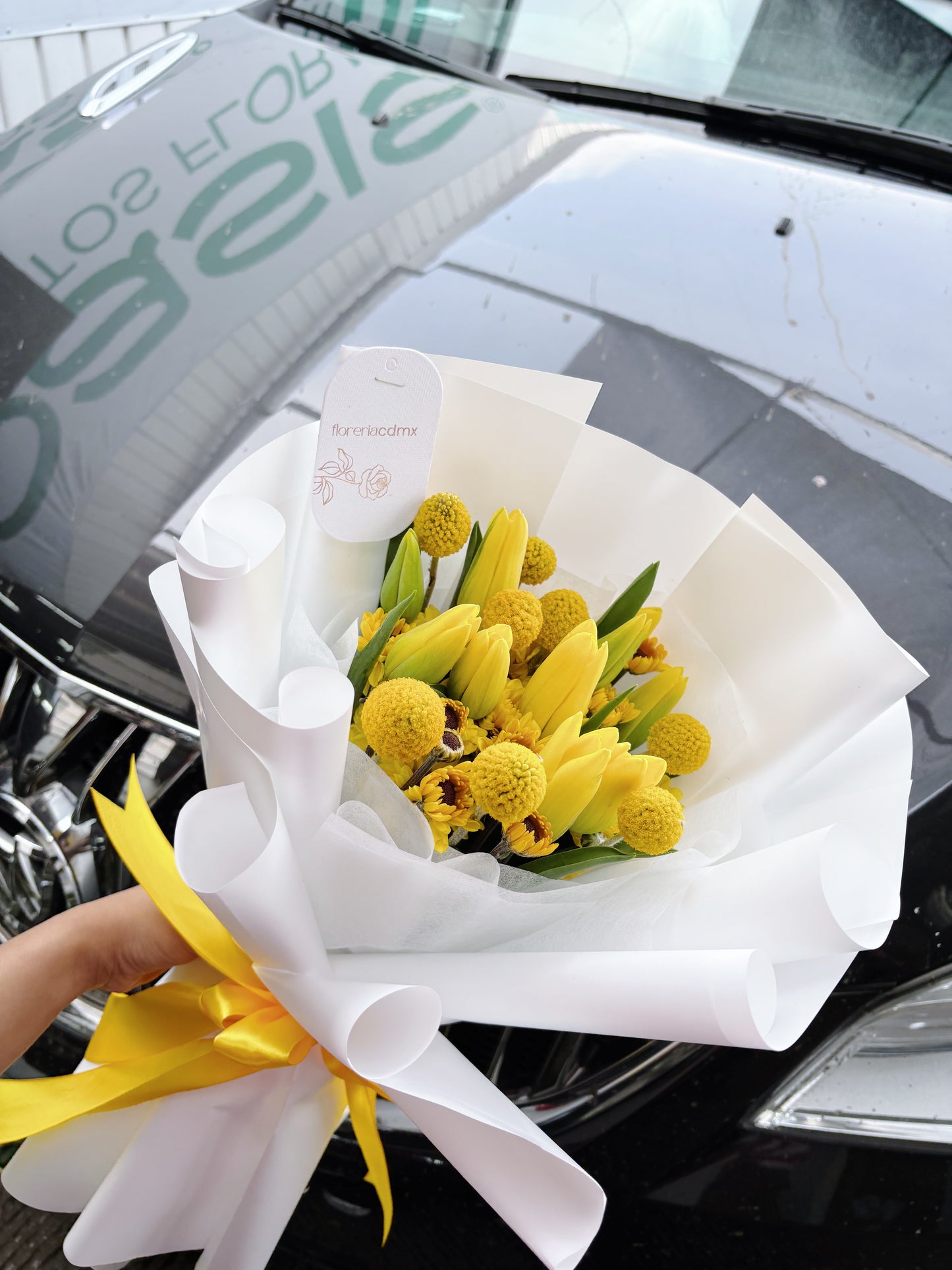 TULIP SIGNATURE DORÉ