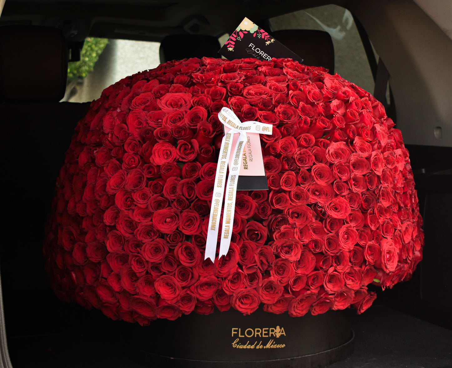 ESFERA DE 800 ROSAS