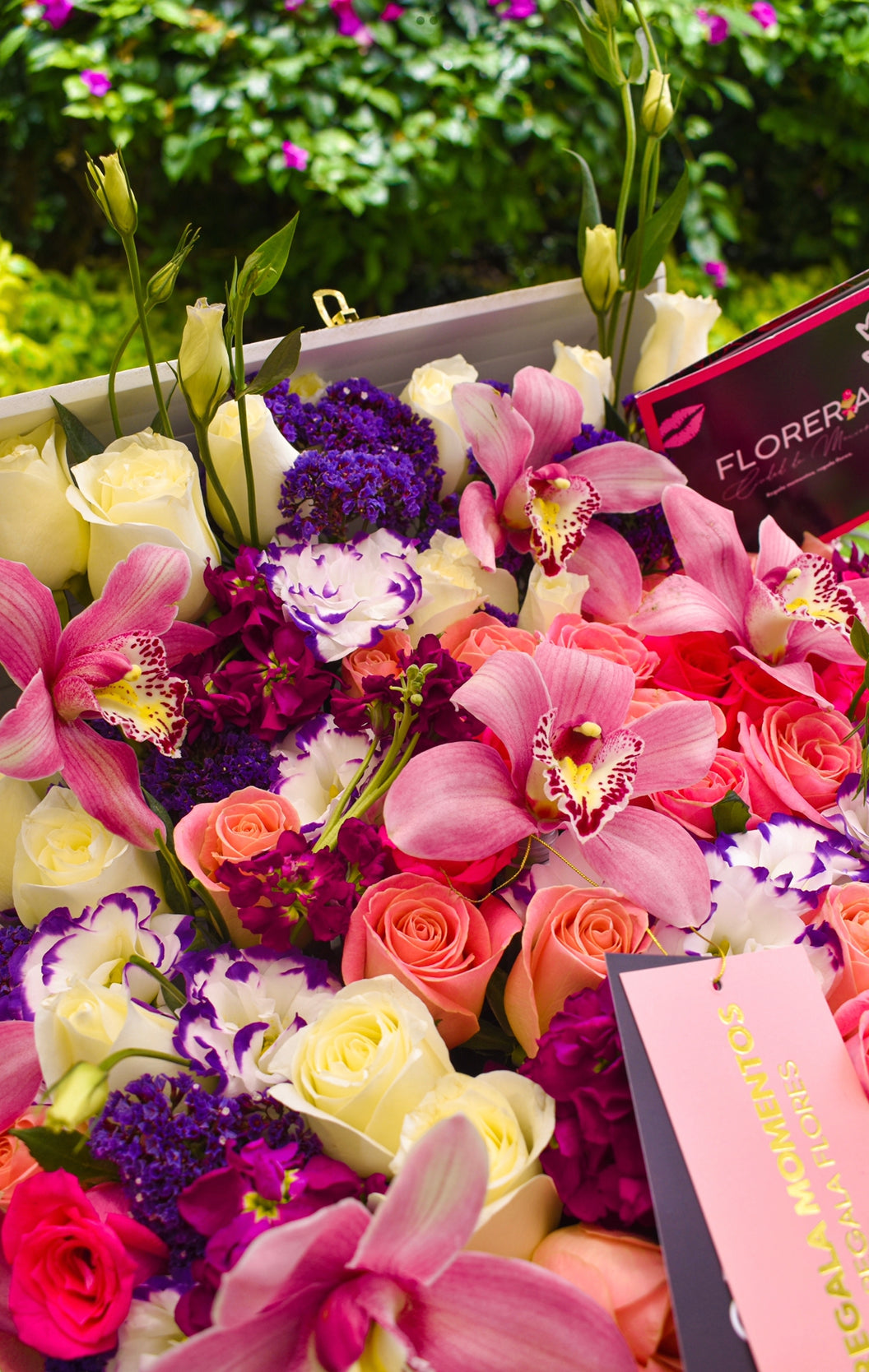 JARDÍN CON CYMBIDIUM