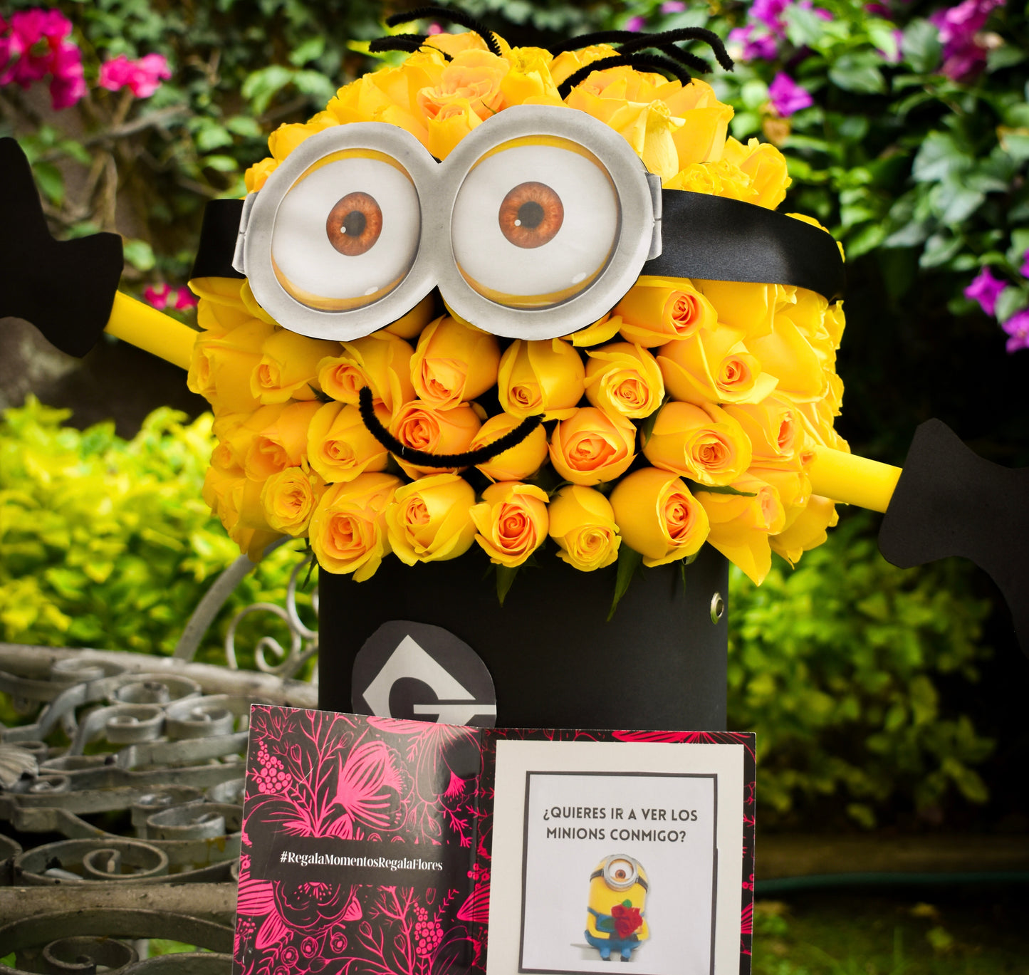MINION DE ROSAS