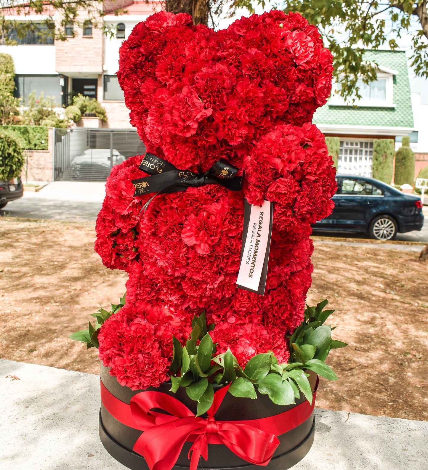 OSO TEDDY DE CLAVELES