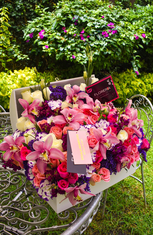 JARDÍN CON CYMBIDIUM