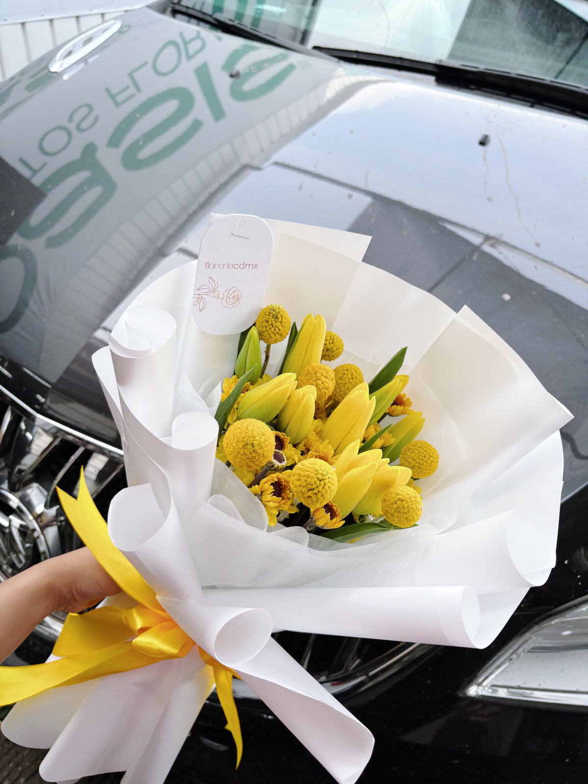 TULIP SIGNATURE DORÉ