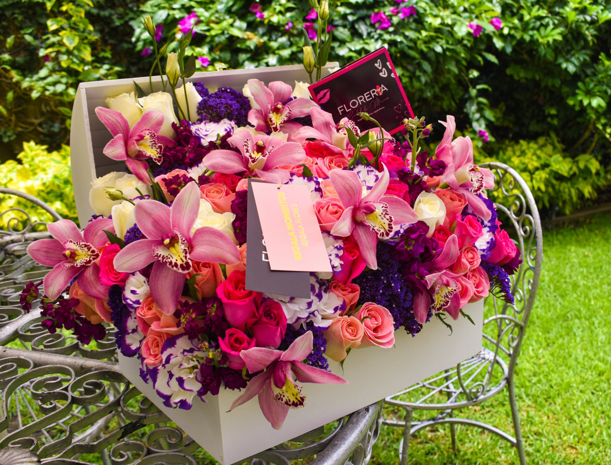 JARDÍN CON CYMBIDIUM