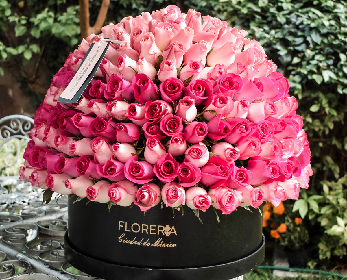ESFERA DE 300 ROSAS